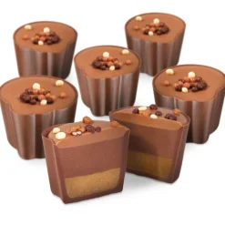 Chocolate Fudge Sundae Selector