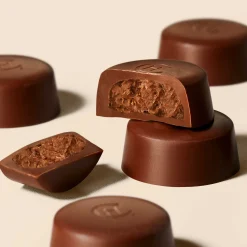 Gianduja Chocolate Selector
