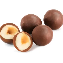 Praline-Milk Chocolate Hazelnuts Gift Tin